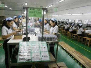 Vietnam’s investment overseas to rise in 2011